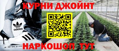 дмт Бузулук